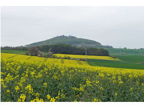 Bittprozession an der Weingartenkapelle (Foto: Karl-Franz Thiede)